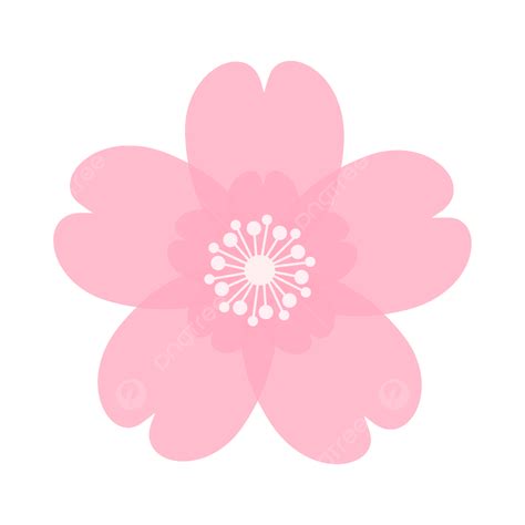 Cherry Blossom Card Vector Art Png Pink Cherry Blossoms Cute Clip Art