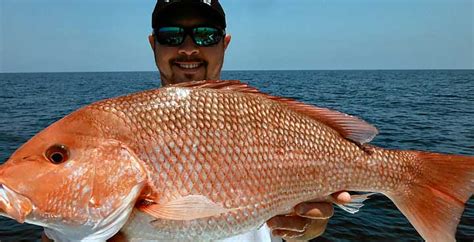 Destin Florida Fishing Spots: Where to Catch the Best Fish