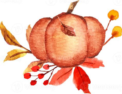 Watercolor Pumpkin With Flower 13166418 Png