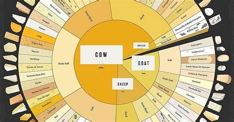 In Queso Emergency Please Consult The Wheel Of Cheese Album On Imgur