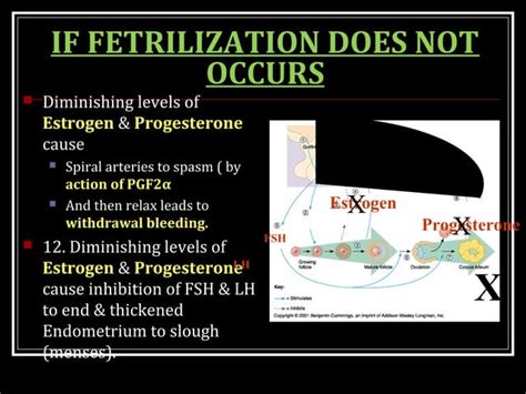 FEMALE REPRODUCTIVE HORMONES | PPT