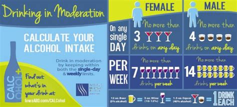 Drinking In Moderation Infographic By Rachel Krier At Coroflot