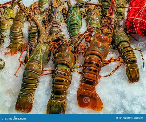 Lobster Seafood Mix Frozen Stock Photo Image Of Healthy 161762010