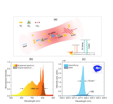 Fig 1 Basic Principle For The IMAGE EurekAlert Science News Releases