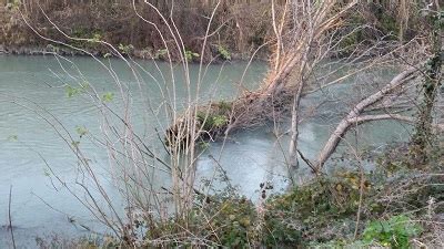 Inquinamento Fiume Pescara Di Primio Condivide Le Richieste Del M S