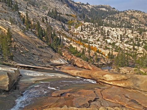 Yosemite Photos - Mariposa Grove of Sequoias - Yosemite Peregrine Lodge