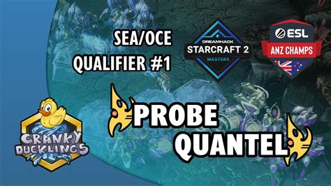 Probe Vs Quantel Pvp Anz Champs Q Dh Masters Summer Oce Roa