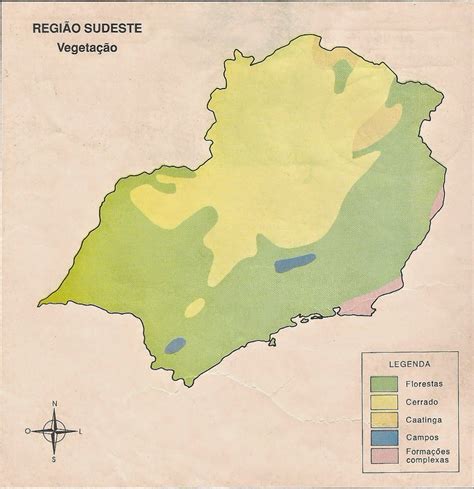 Riquezas Do Brasil Vegeta O Da Regi O Sudeste