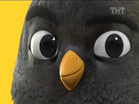 ADMONITOR | Чижик: Чижик - с 17 по 30.08.2023 майонез "Миоре" за 69 руб ...