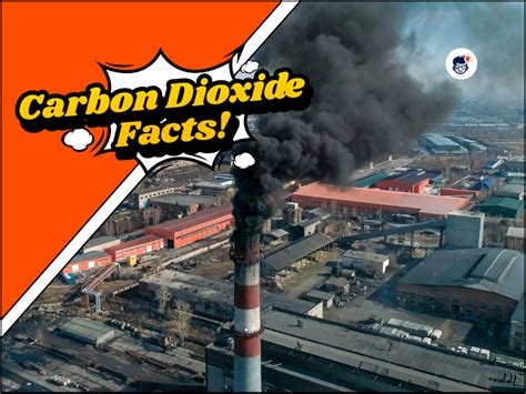 19+ Carbon Dioxide Facts You Need to Know About! (Free Printable) 