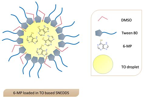 Pharmaceutics Free Full Text Exploring The Enhanced