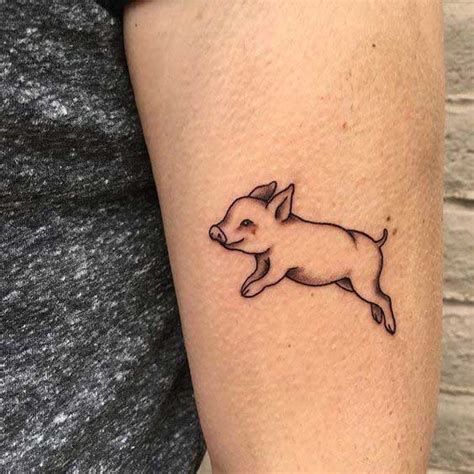 pig tattoos pictures designs meanings  ideas tattoo