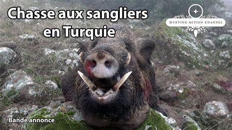 Chasse Aux Sangliers En Turquie Youtube