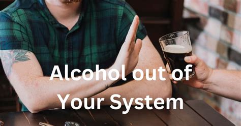 How To Get Alcohol Out Of Your System In Hours Ask How To