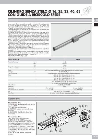 Cilindro Senza Stelo Con Guida A Ricircolo Di Sfere Metal Work