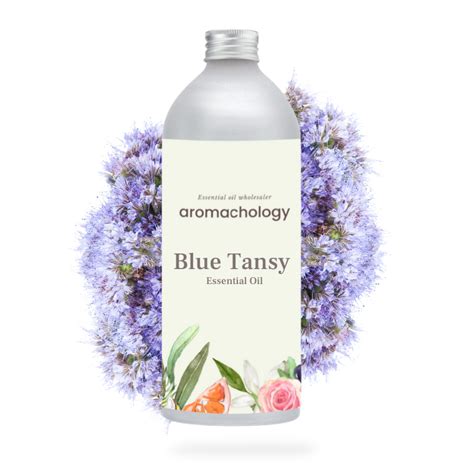 Buy Best Bulk Blue Tansy Essential Oil Wholesale in USA