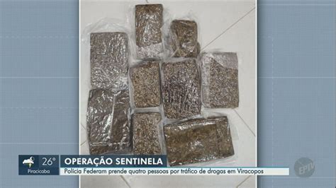 Em Dias Pf Prende Passageiros Que Tentavam Embarcar Drogas No