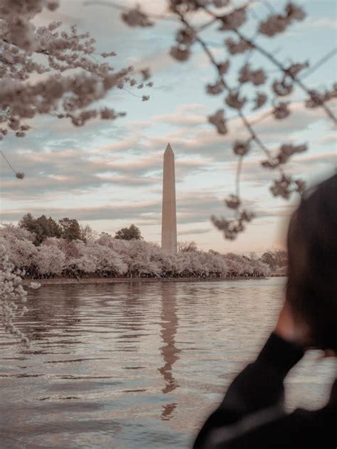 Cropped 20220325 Style Senses An Trieu Washington DC Cherry Blossom 74