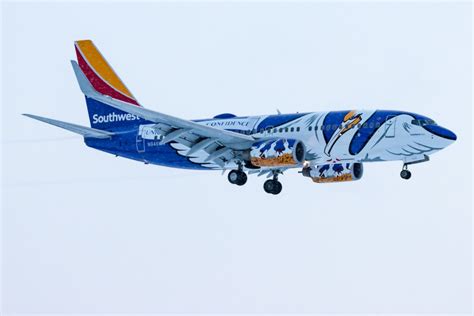 Livery Of The Week Southwest Airlines Special