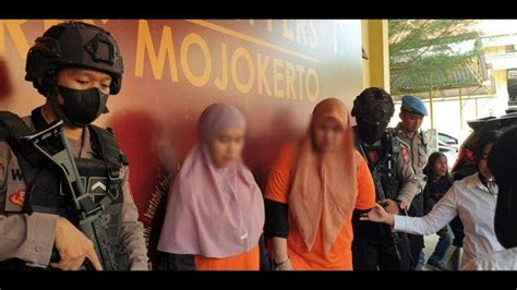 2 Ibu Muda Di Mojokerto Jadi Tersangka Investasi Bodong Tilap Milyaran