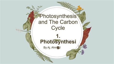 Photosynthesis And The Carbon Cycle Pptx