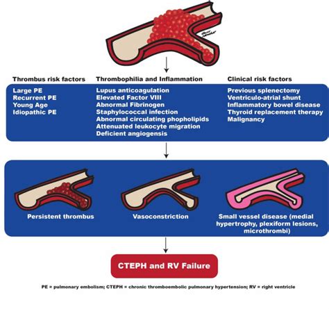 Chronic Thromboembolic Pulmonary Hypertension Management Strategies And