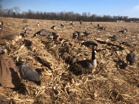 5 Tips to Make Your Waterfowl Hunting Season STRESS-FREE - Cervicide