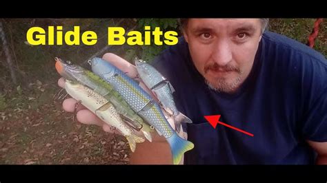 Glide Baits The Secret To Big Bass Bass Manager The Best Bass