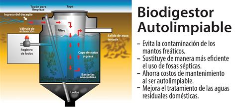 Biodigestor Autolimpiable El Biodigestor Autolimpiable Tiene Como