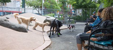 13 Best Dog Parks In Nyc