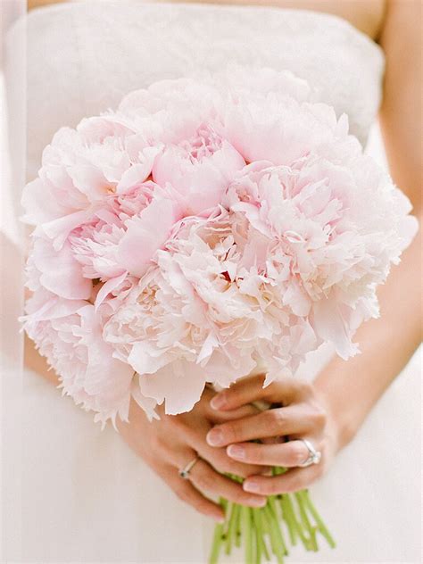 15 Beautiful Peony Wedding Bouquets The Knot