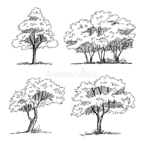 Architectural Trees Stock Illustrations – 2,738 Architectural Trees ...