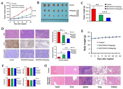 Mgcd Inhibited Tumorigenicity In Vivo A The Tumor Growth Curve