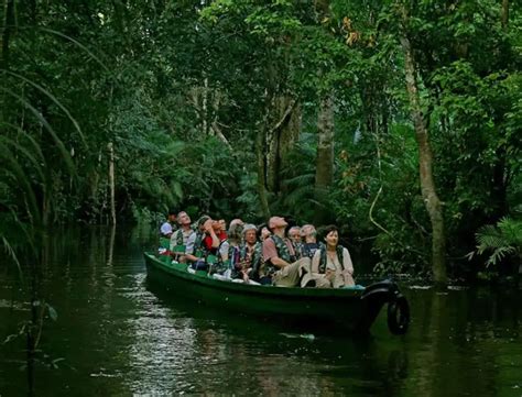 Descubra As Maravilhas Do Ecoturismo No Brasil Viajar Sozinho