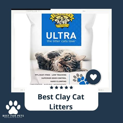 For Your Pet, The Best Clay Cat Litters - BestForPets.org