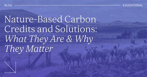 natured based solutions     matter