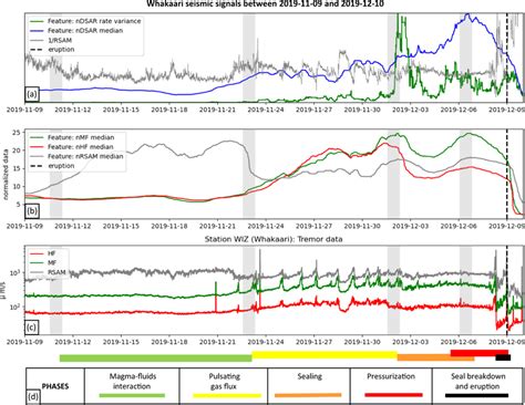 Four-week pre-eruptive time series for the Whakaari 2019 eruption a ...