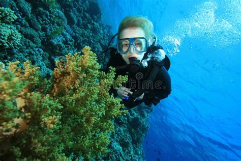 Mergulhador Do Mergulhador E Recife Coral Foto De Stock Imagem De