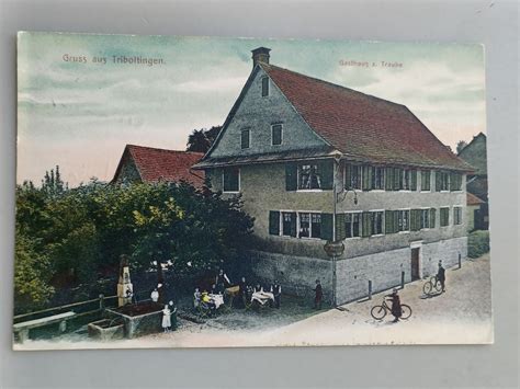 Alte PK Gruss Aus Triboltingen Gasthaus Zur Traube 1912 Kaufen