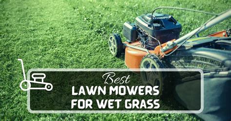 5 Best Lawn Mowers For Wet Grass May 2024 Just Pure Gardening