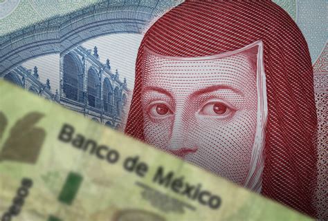 ¿cómo Invertir Mi Dinero Guía Para Principiantes En El Mundo De Las