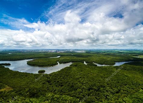 Aerial Shot of Amazon rainforest Stock Photo by ©gustavofrazao 129799540