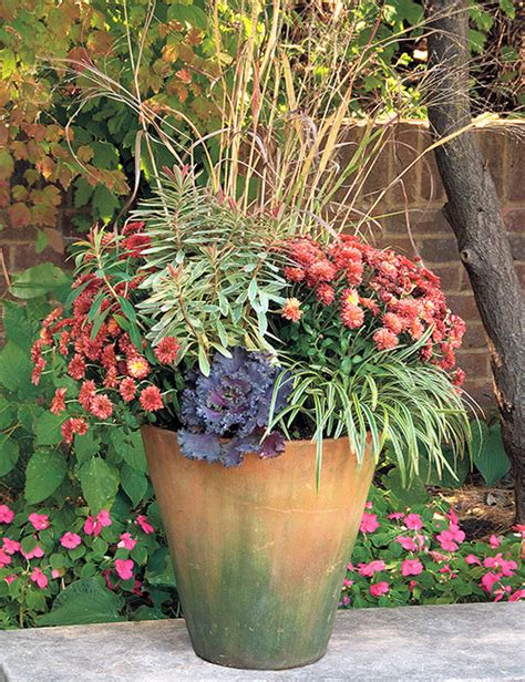 Fall Containers with Ornamental Grasses | Garden Gate