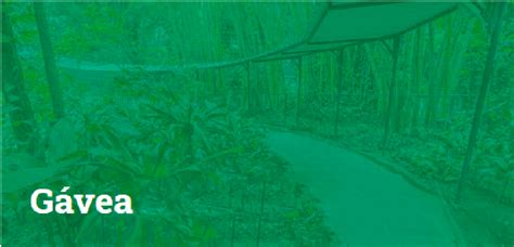 Agende uma visita na escola Parque