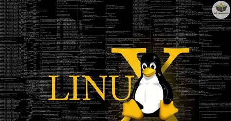 Curso de SISTEMA OPERACIONAL LINUX Certificado válido em todo