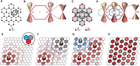 Ubiquitous Defect Induced Density Wave Instability In Monolayer