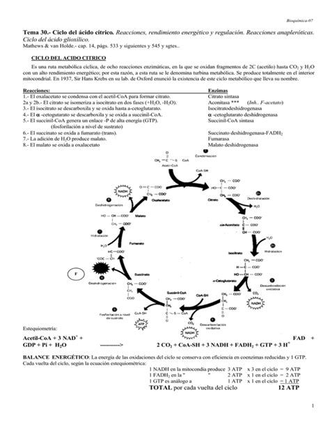 Ciclo del ácido cítrico