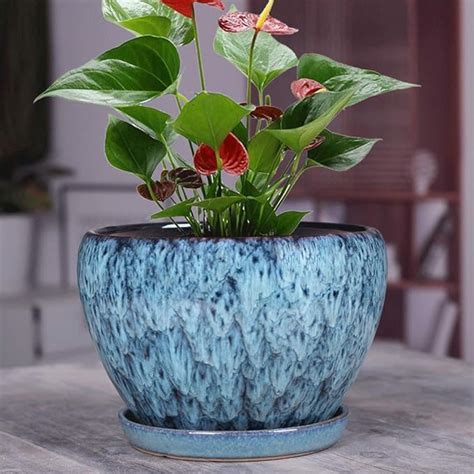 Best Ceramic Indoor Plant Pots At Charlie Posada Blog