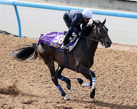 【天皇賞・秋】2冠牝馬スターズオンアースが回避 右前脚のザ石か、クラブ発表 競馬写真ニュース 日刊スポーツ