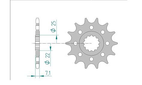 AFAM Pignon Acier Standard 24511 520 EBay